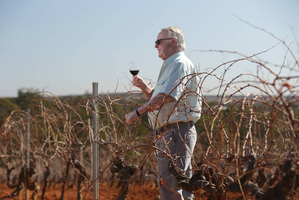 SALUTE: Bruce Tyrrell toasts a $100,000 State grant to protect Wine Country heritage assets. He is standing in vines planted in 1879 at Tyrrell's. PICTURE: Simone De Peak.