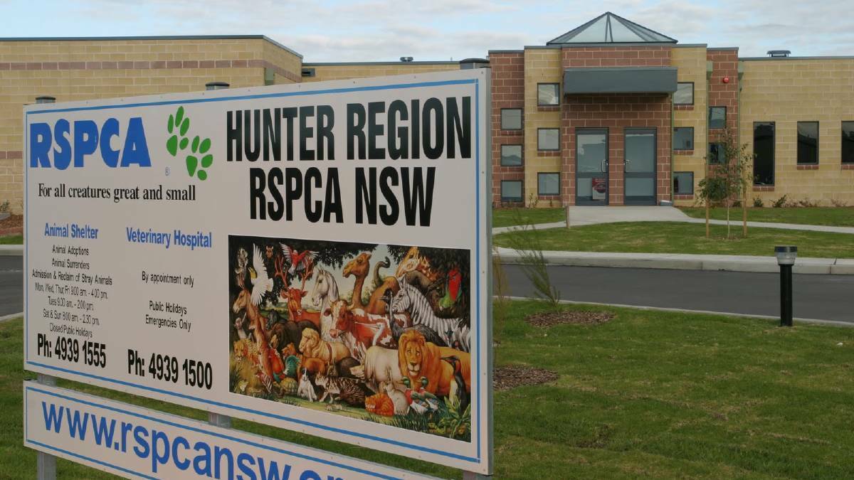 RSPCA Rutherford shelter's $1.17m upgrade