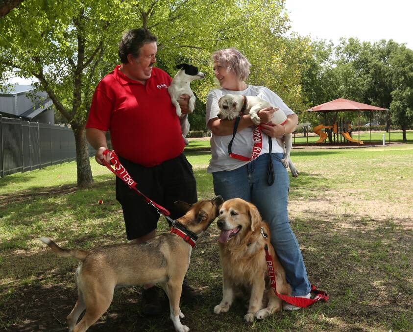 WOOF: Dogs in the Park founder Chris Boswell holding Trixie and Michelle Brereton founder of Bells Echo Animal Rescue holding Kleo pictured with Buster (left) and Goldie. PICTURE: SImone De Peak.