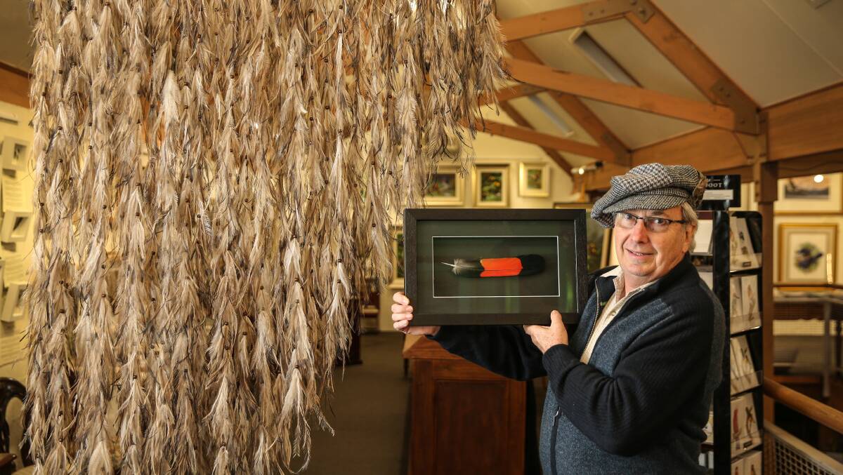 WILD LIFE: Trevor Richards of Morpeth Gallery with some of the works that will be on show this weekend. PICTURE: Marina Neil.