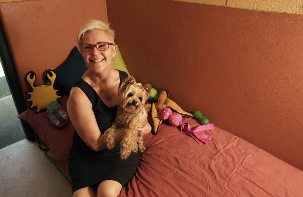 PAMPERED: Ariel Endean Akuna Pet Resort's owner and carer wants pet parents to have no worries when they go away on their holiday. Picture: Simone De Peak.