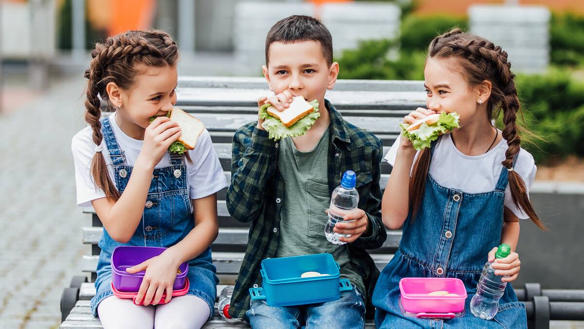 Children will function better throughout the day with a healthy lunch. Picture: Shutterstock