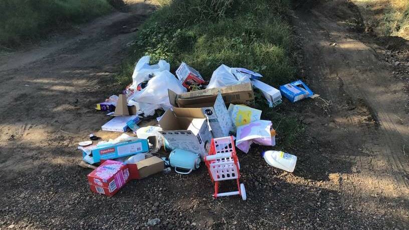 Rutherford woman fined $4000 for illegal dumping