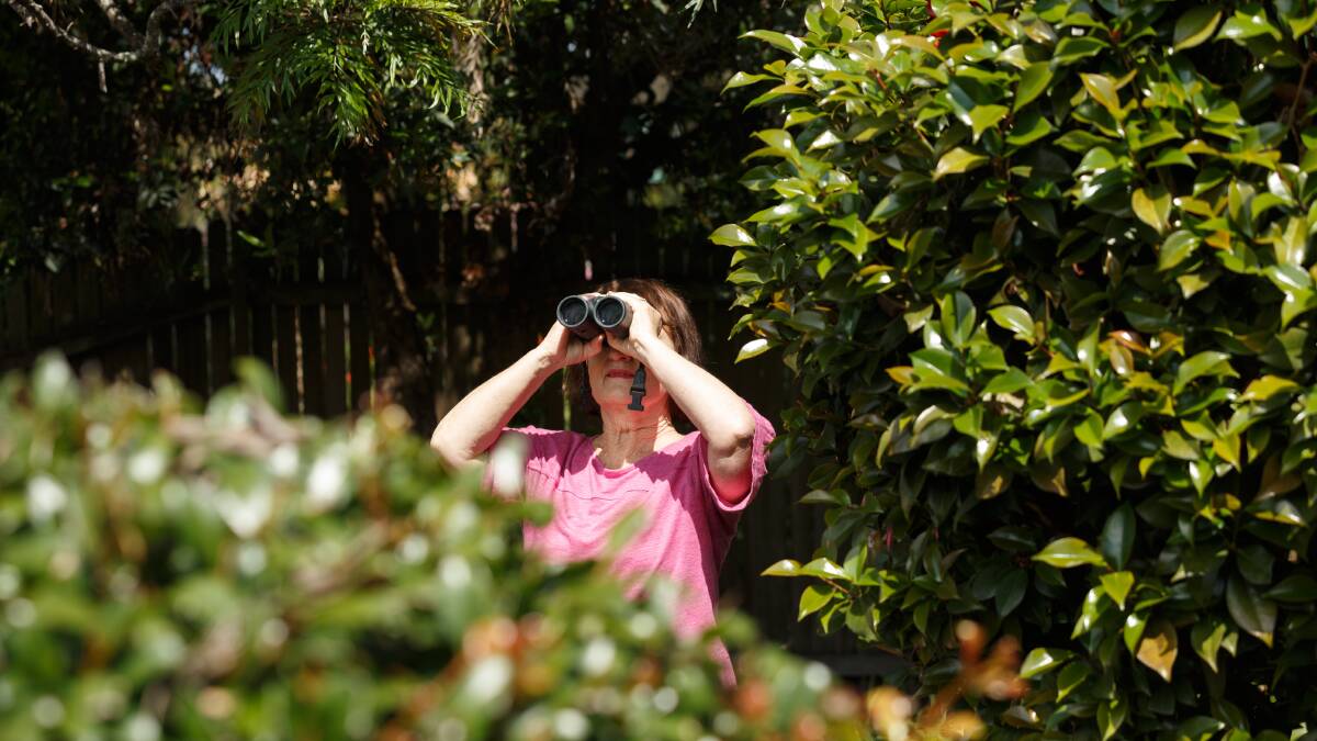 Aussie Backyard Bird Count is on again ... can we beat 175 species?