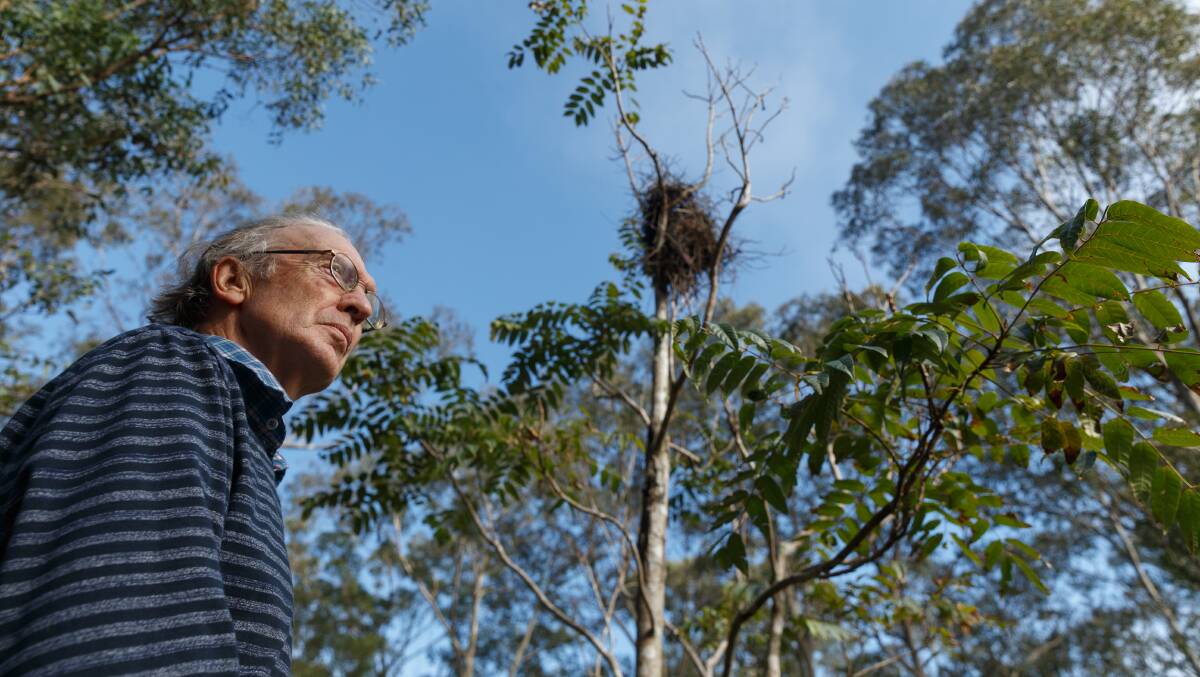 FRUSTRATED: Alan Todd with a Grey Crowned Babbler nest near his home. Picture Max Mason-Hubers