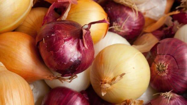 EASY TO GROW: Onions should be stored in a cool, airy space. 