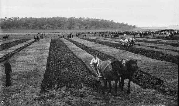POPULAR SPORT: Ploughing competitions were popular across NSW in the mid 1800s.