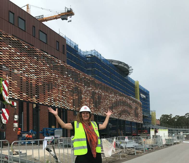 ARTIST: Saretta Fielding was given the big job of designing and pointing the 75-metre long arbour at the new hospital entrance.