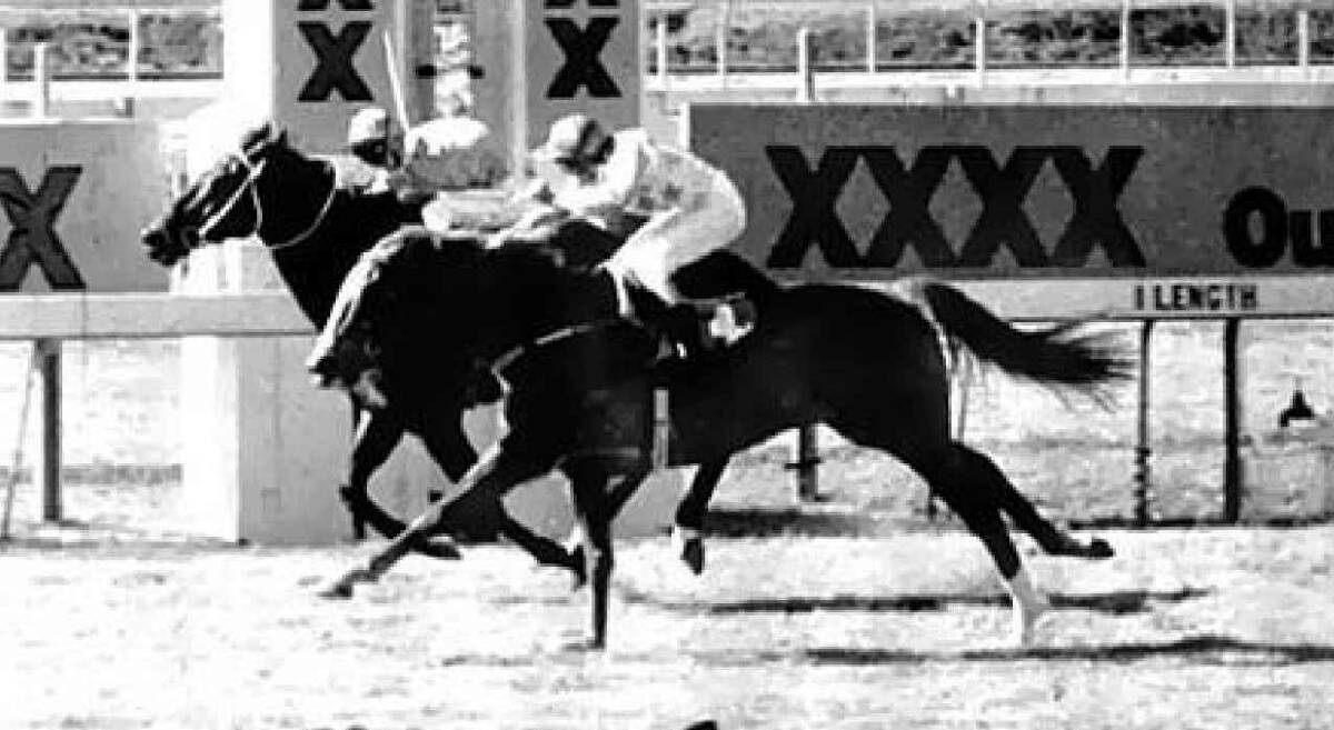 WINNING POST: The tight finish of the infamous Fine Cotton race at Eagle Farm in 1984. 