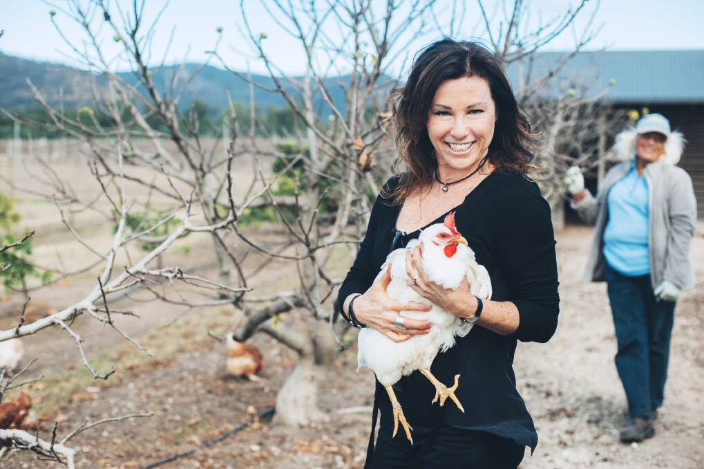 Take a look at a chook: they're in huge demand