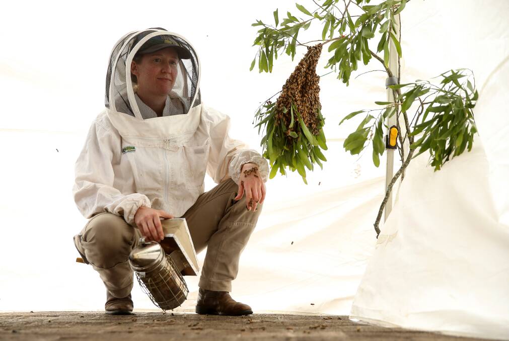 CHALLENGING TIMES: Elizabeth Frost who will head the Queen Bee Development Program.