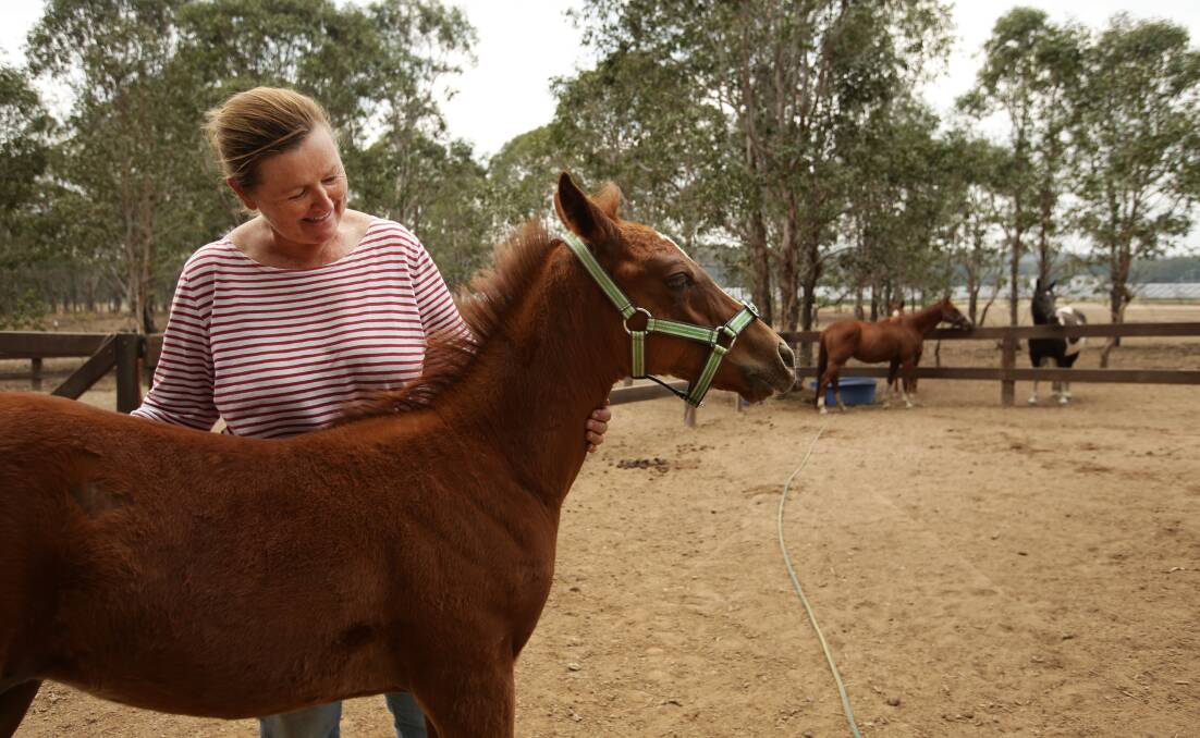 CARING: Lovedale Horse Rescue volunteer and trainer Kim Murdock with some of the rescued horses. Picture: Simone De Peak