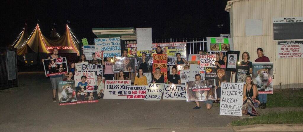 Protesters from the Animal Justice Party at Maitland.