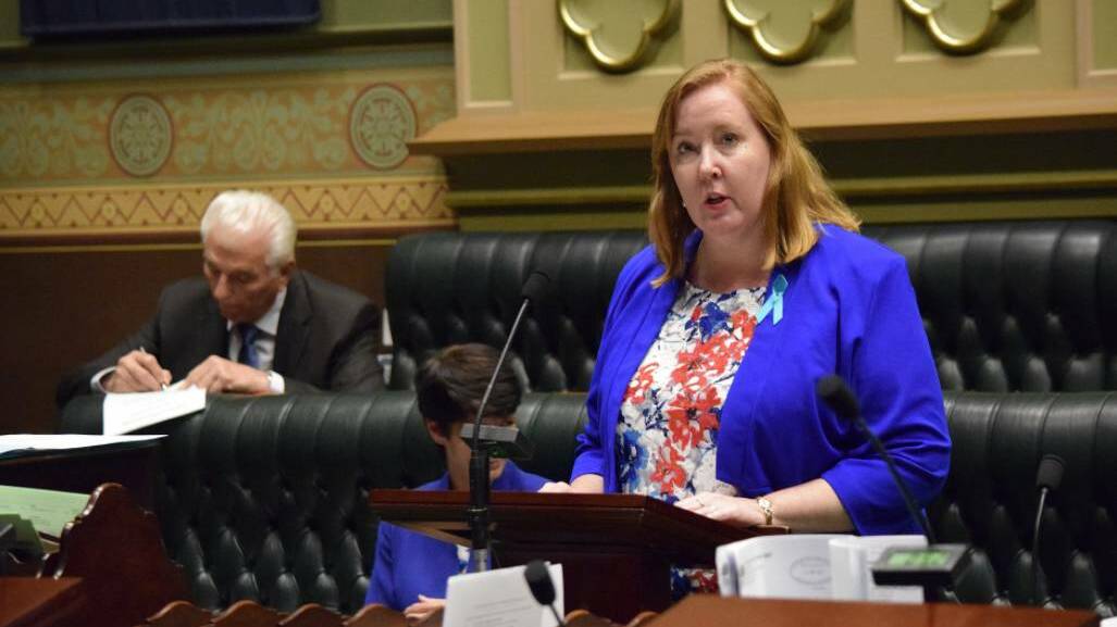 Historic moment: Jenny Aitchison said her address to the chamber regarding safe access zones was one of the hardest speeches she'd ever written. 