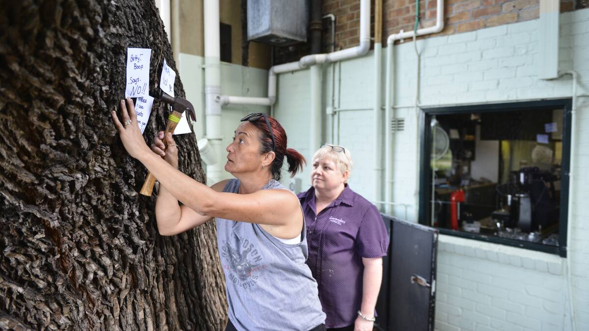 Final day: Owner-operator of Lavenders Riverside Cafe Steph Purdon watches on as longest-serving staff member Carol Wagner hammers goodbye messages into the tree. Picture: Lachlan Leeming