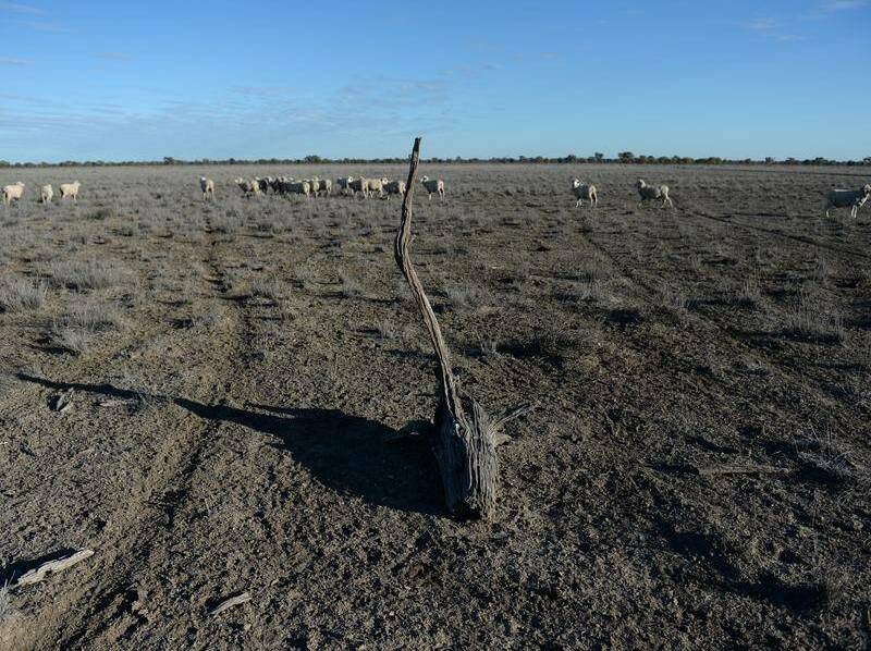 Big dry: Maitland council have voted to donate $5000 to a drought aid charity. 