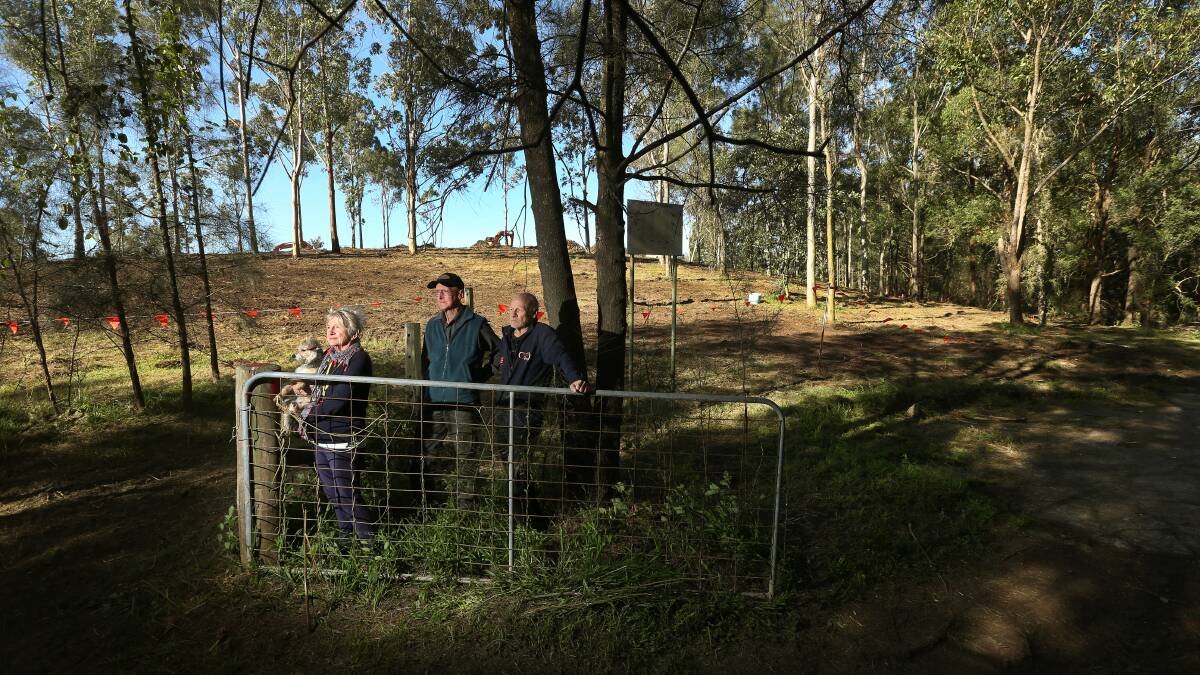 Clearing concerns at Bolwarra reserve
