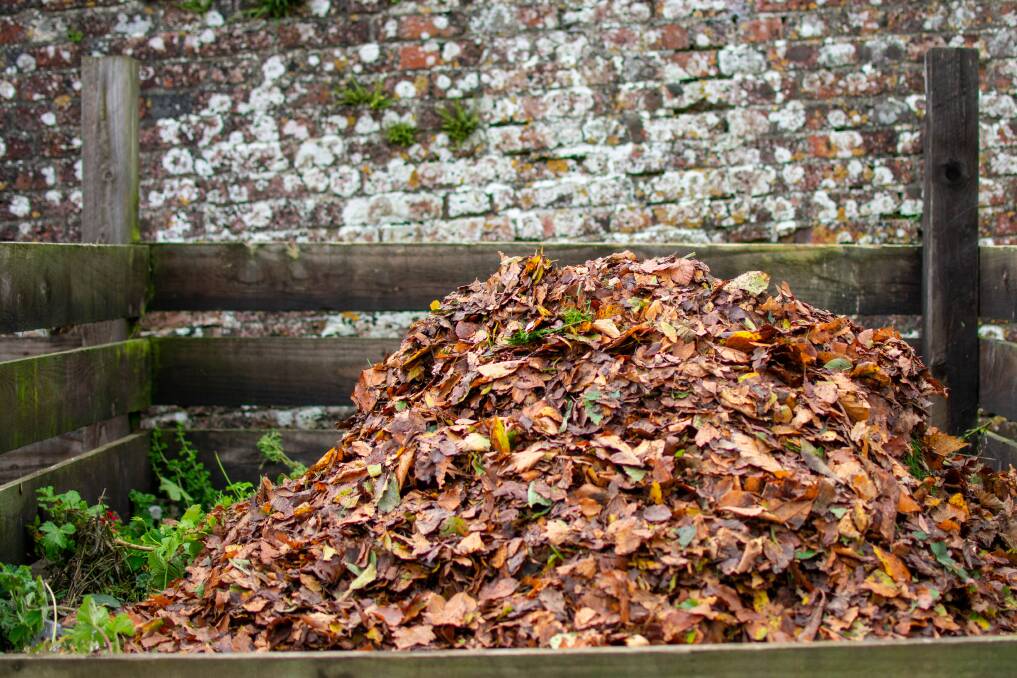 BOUNTY: Try turning the autumn leaves into mulch or compost. 
