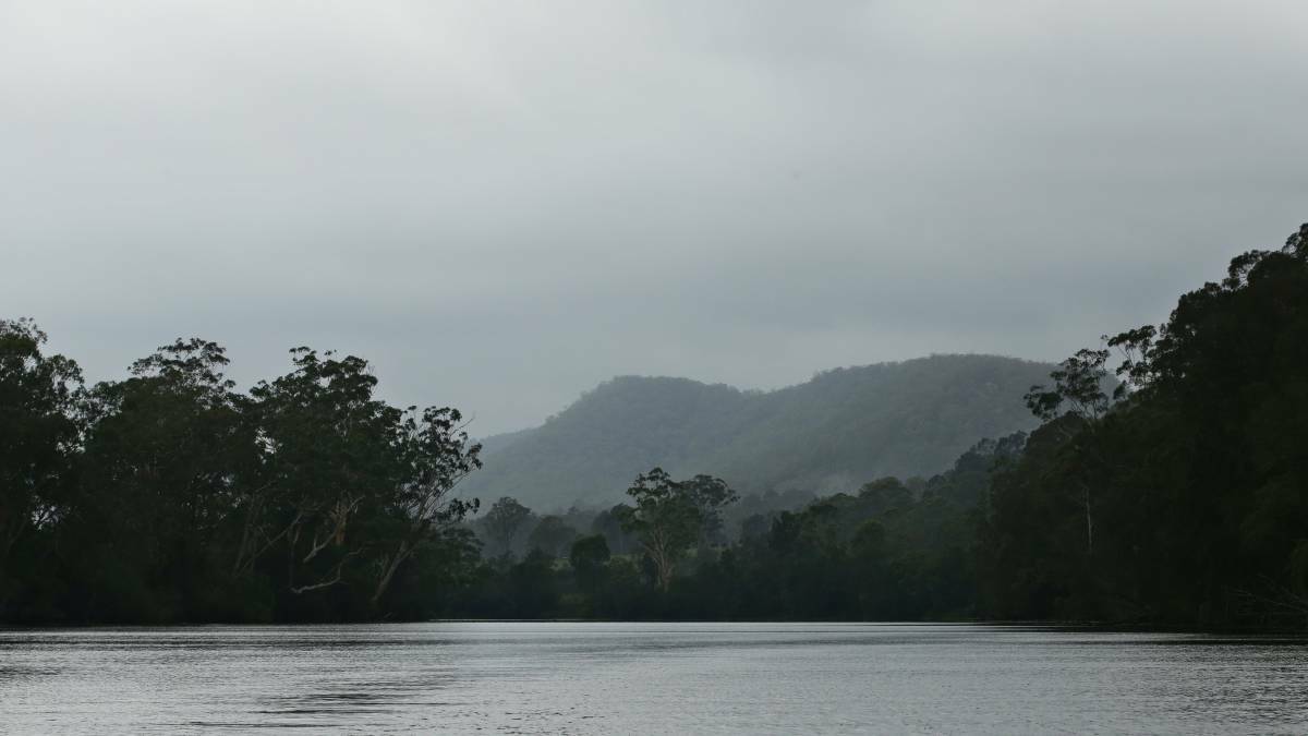 Conflicting accounts of potential new Hunter dam's impacts on species