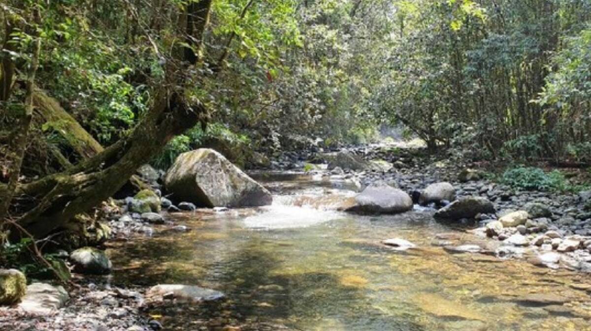 Precious: Surface water option assessment reviews of the two potential dam sites highlight a significant number of potential threatened flora and fauna species.