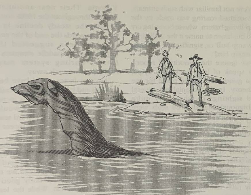 A sketch of a mythic Australian bunyip.