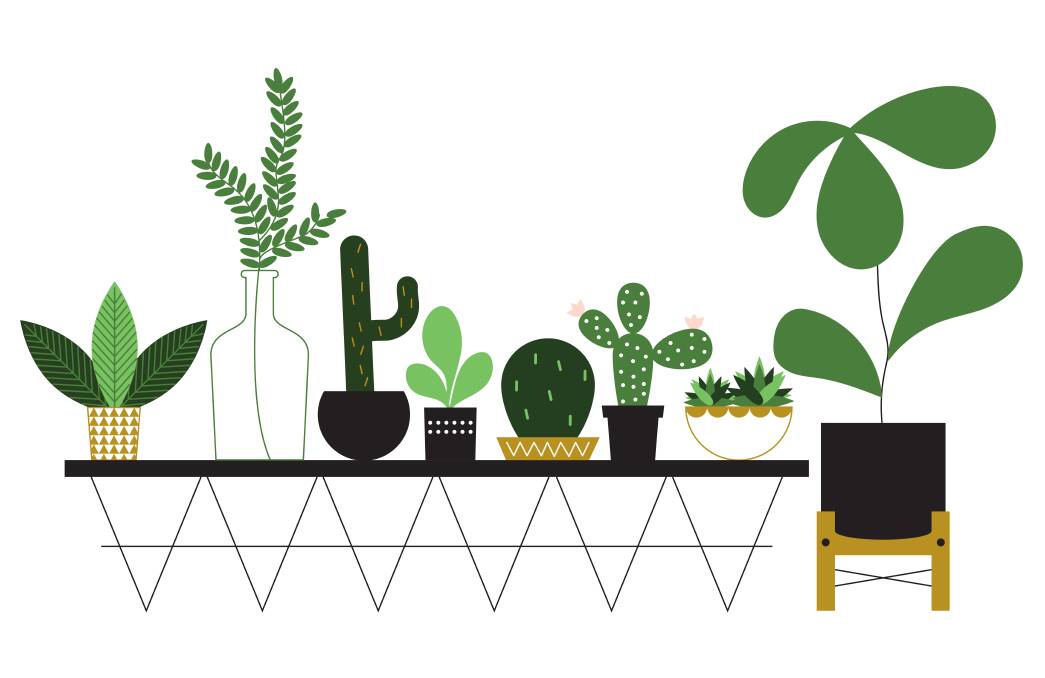 GREEN: Indoor plants remain one of the biggest interior design trends this year.