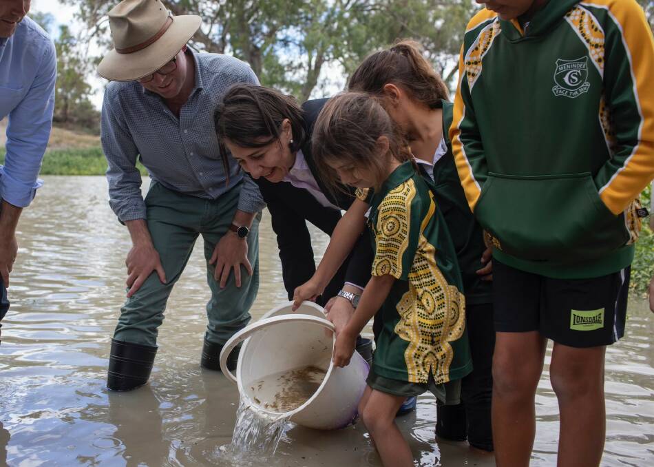 Menindee school students help release some of the Murray Cod fingerlings into the Darling (Baaka) River watched by Adam Marshall and Premier Gladys Berejiklian.