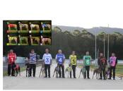 All eight racing rugs now have new sponsorship, but they will all keep the same colours as before. Photo: Supplied