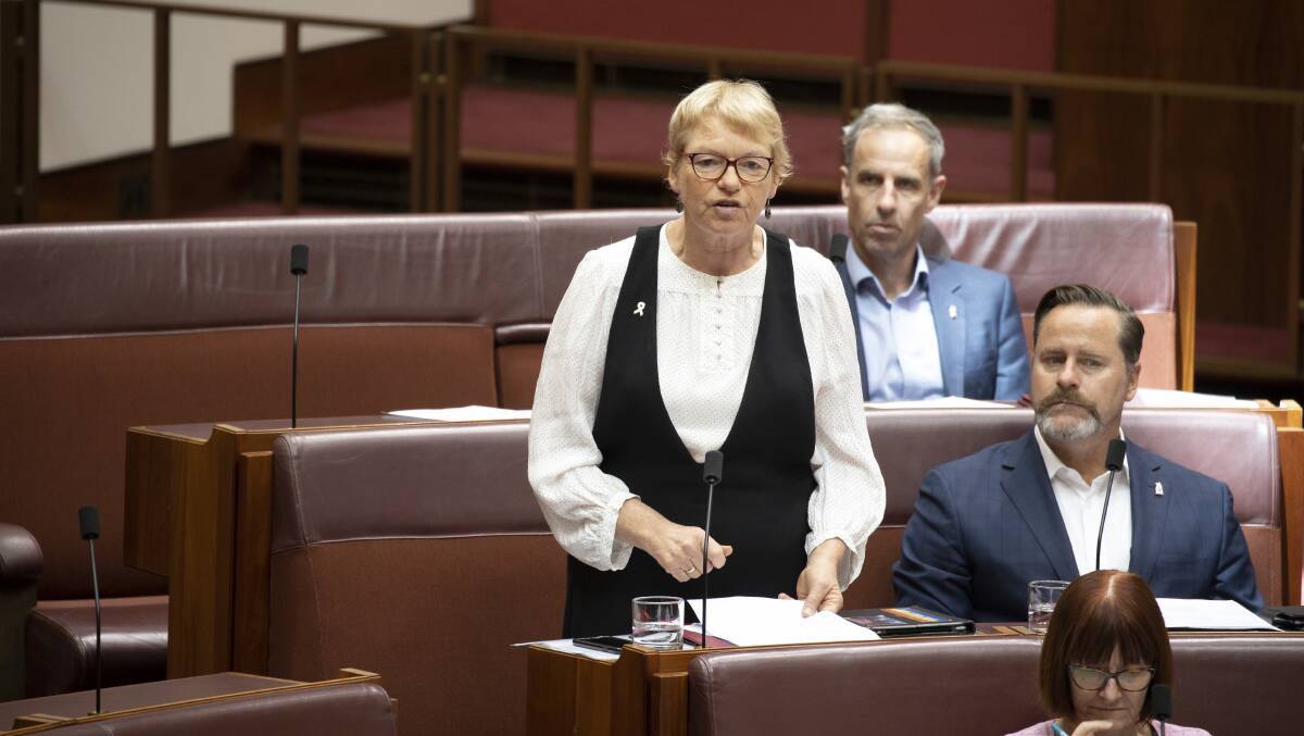 Greens senator Janet Rice introduced a bill earlier this year to fund community sporting clubs who unfairly missed out during the sports rorts scandal. Picture: Sitthixay Ditthavong