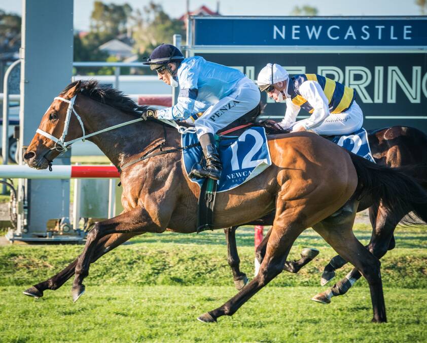 THREE CHEERS: Jeff Penza on board Great House in the Newcastle Cup on Friday. The same jockey made it a group 3 clean sweep by also winning the Cameron Handicap and Tibbie Stakes. Picture: Newcastle Jockey Club