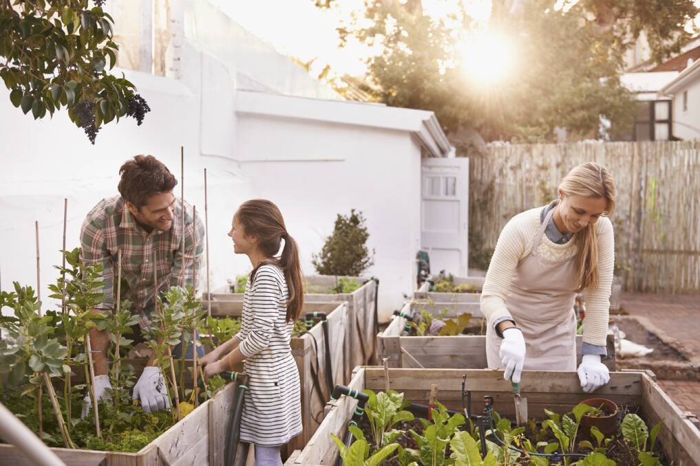 Dig it: Gardening is a great way of staying active and keeping kids interested in eating their greens.