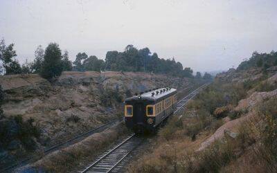 LONG GONE: A passenger train travelling between Weston and Abermain in 1962. Passenger services on the Cessnock line ceased in 1972. Picture: South Maitland Railways