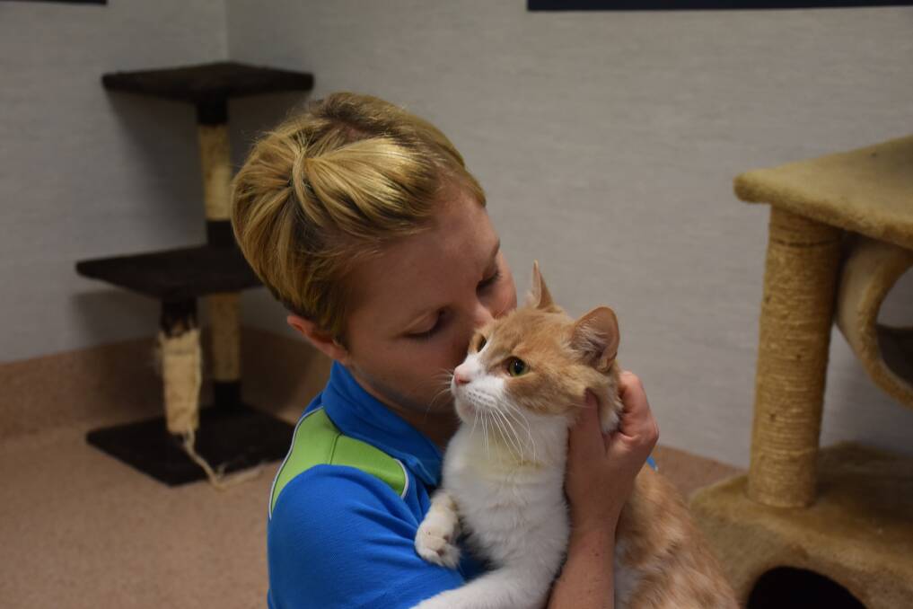 BEST FRIENDS: Staff member Stacy Bird with Tyler the cat.