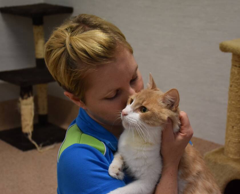 BEST FRIENDS: Staff member Stacy Bird with Tyler the cat. Picture: Betina Hughes 