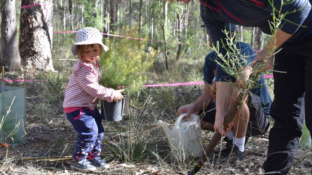 Future of Hunter native tree in safe hands