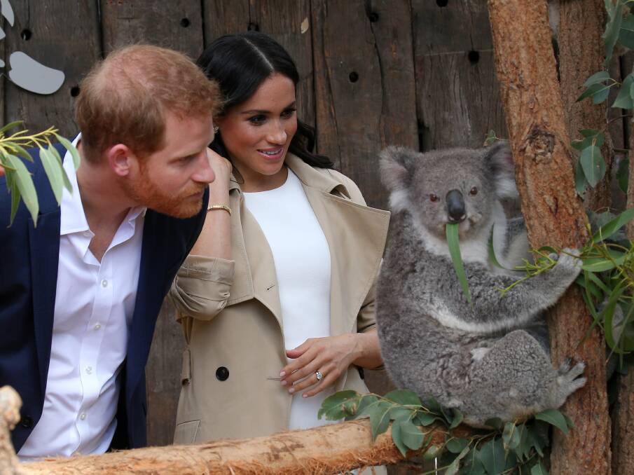 The Duke and Duchess of Sussex, Prince Harry and Meghan Markle visit Taronga Zoo during their visit to Sydney for the Invictus Games. Picture: Toby Zerna