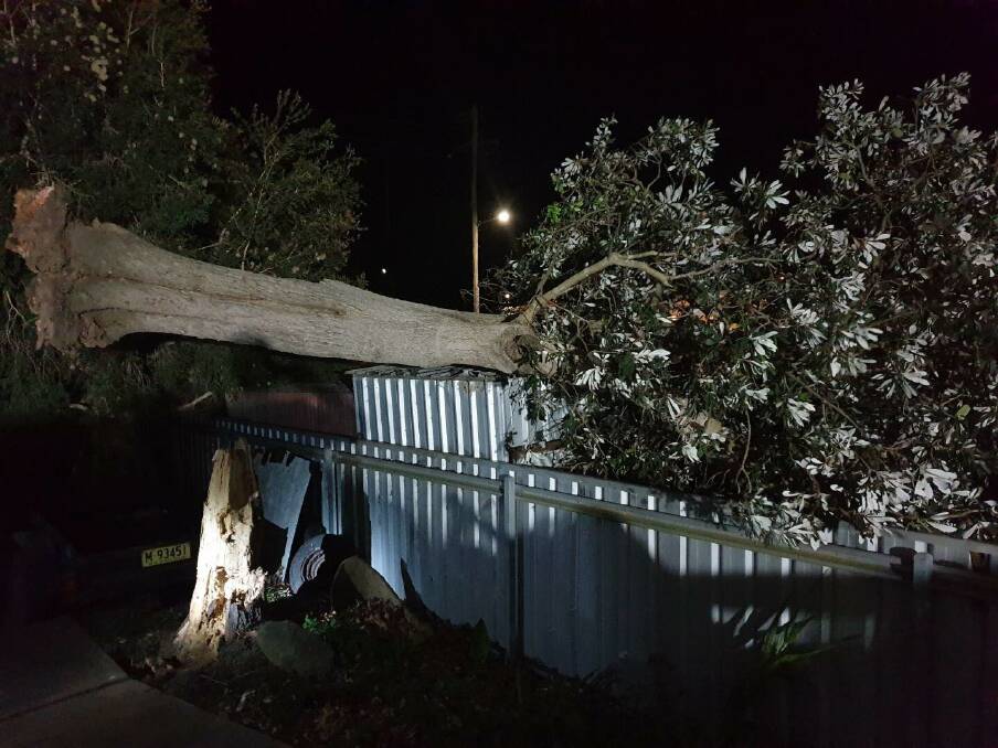 A snapped tree at Gillieston Heights was a big job for the Maitland crew. They are returning on Tuesday to complete it. Picture: Maitland City SES Unit
