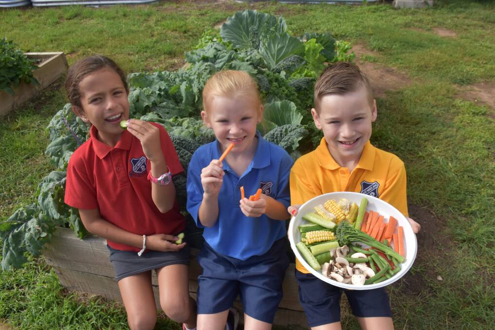 HEALTHY: Year 2 students Faith Clarke, Sophie Harcourt, Hudson Price at East Maitland Public School's vege garden on Thursday.