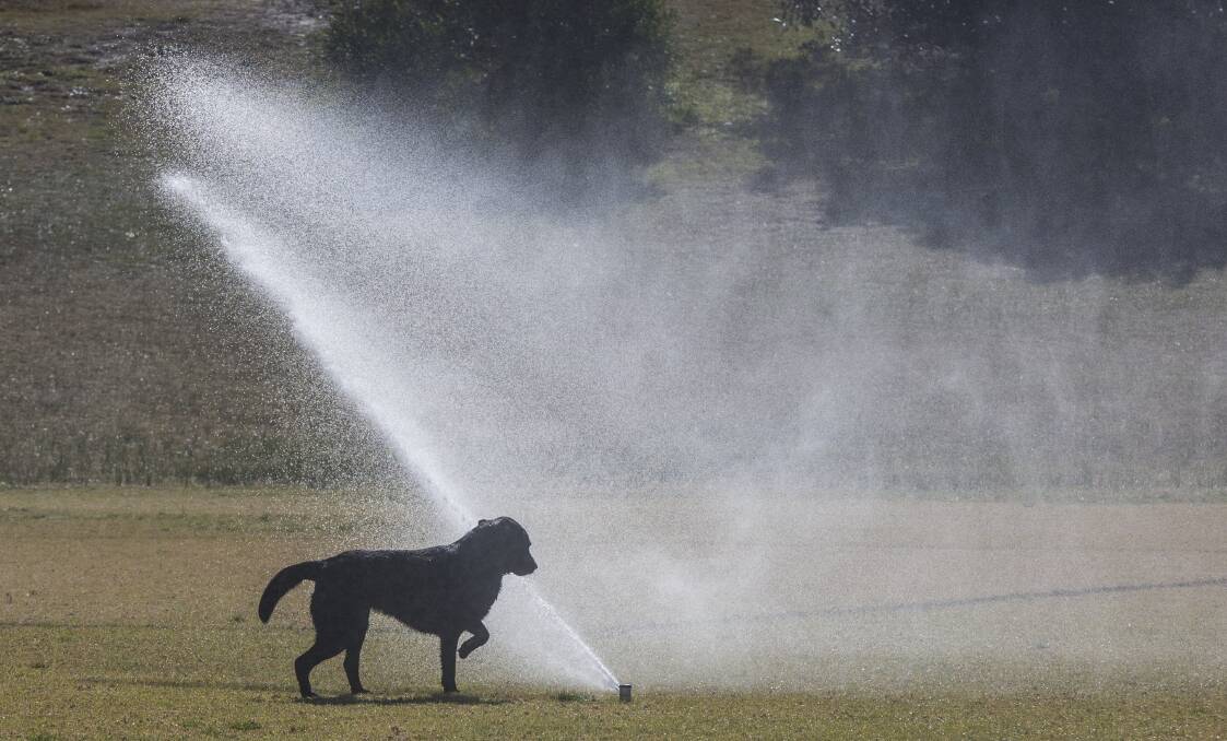 BANNED: Households will no longer be able to use sprinklers in Maitland and the Lower Hunter from September 16. Picture: Jessica Hromas