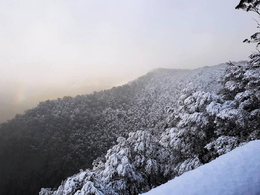 Barrington Tops during a past snowfall. Picture: Rob Balint