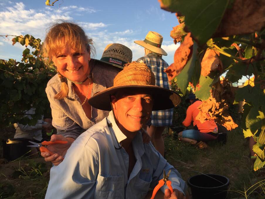 POWER PICKING COUPLE: Husband and wife Roanne and Andrew Sekel, from New Lambton, have joined the workforce in the vineyard. Picture: Scott Bevan