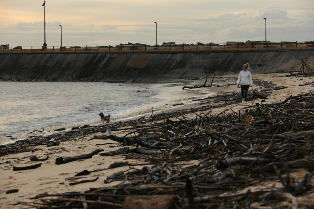 The 'Dog Beach' is strewn with driftwood after recent heavy rain and flooding. Picture: Simone De Peak 
