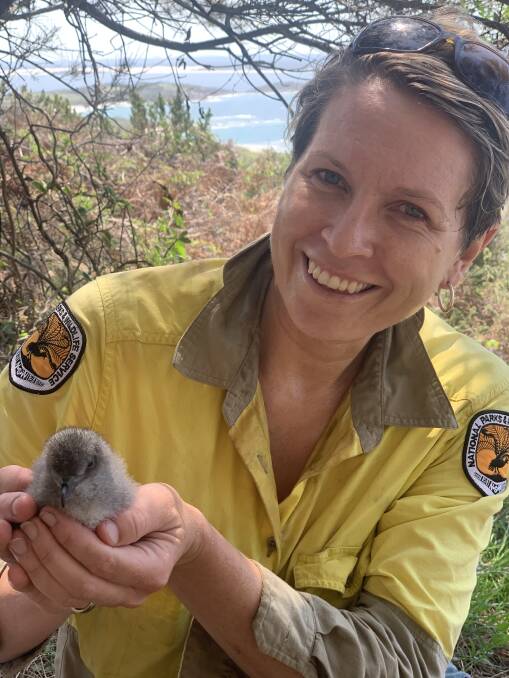 Susanne Callaghan with the Gould's petrel chick. Picture: Courtesy, Alan Stuart, Hunter Bird Observers Club