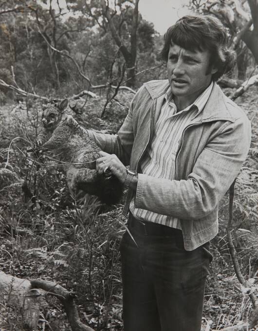 Brian Gilligan holds a possum at the Awabakal Field Study Centre at Dudley.