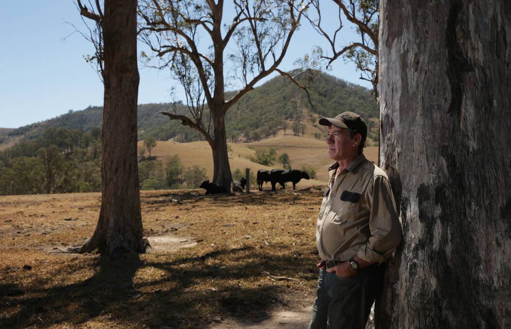THEN: Peter Lawrence, in December 2019, in a parched paddock with cattle in the background.