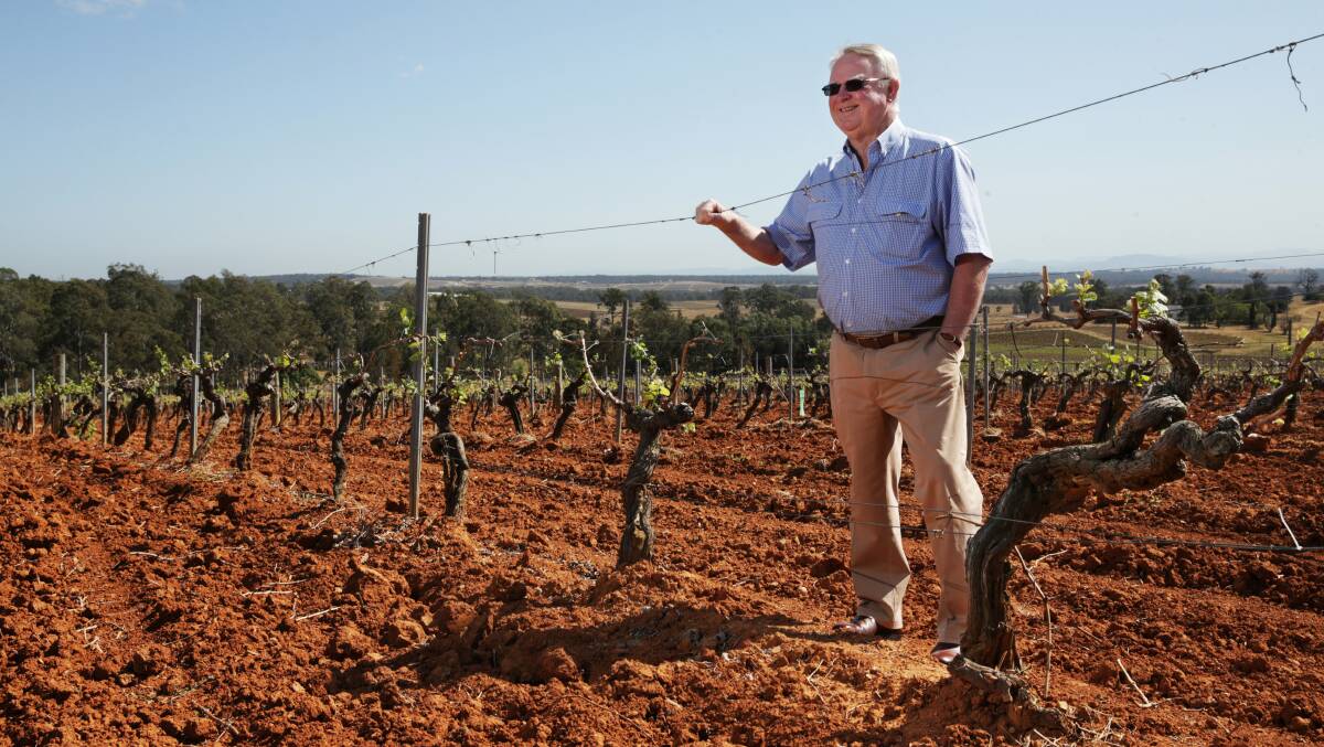 DEEP ROOTS: Bruce Tyrrell in the 4 Acres Shiraz block, planted by his great grandfather and vineyard founder, Edward Tyrrell.