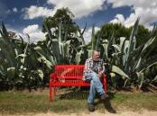 GARDEN ART: Dale Frank sits in the botanical gardens he has created on his historic property near Singleton. Pictures: Simone De Peak 
