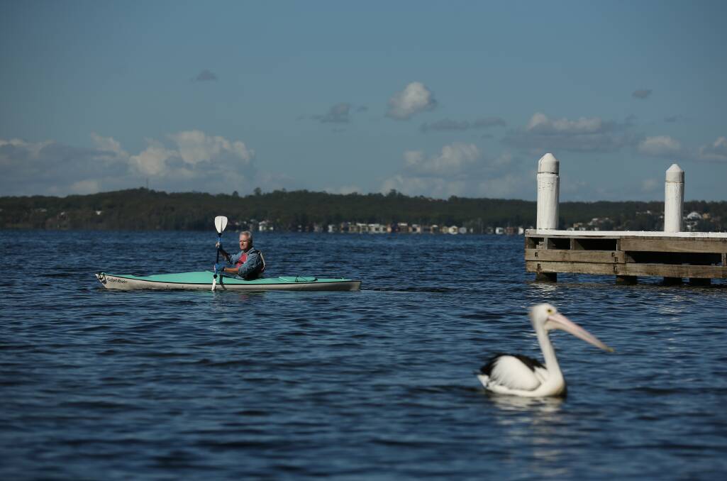 JUST ADD WATER: Writer Scott Bevan kayaks past a pelican off Wangi Wangi. Picture: Simone De Peak 