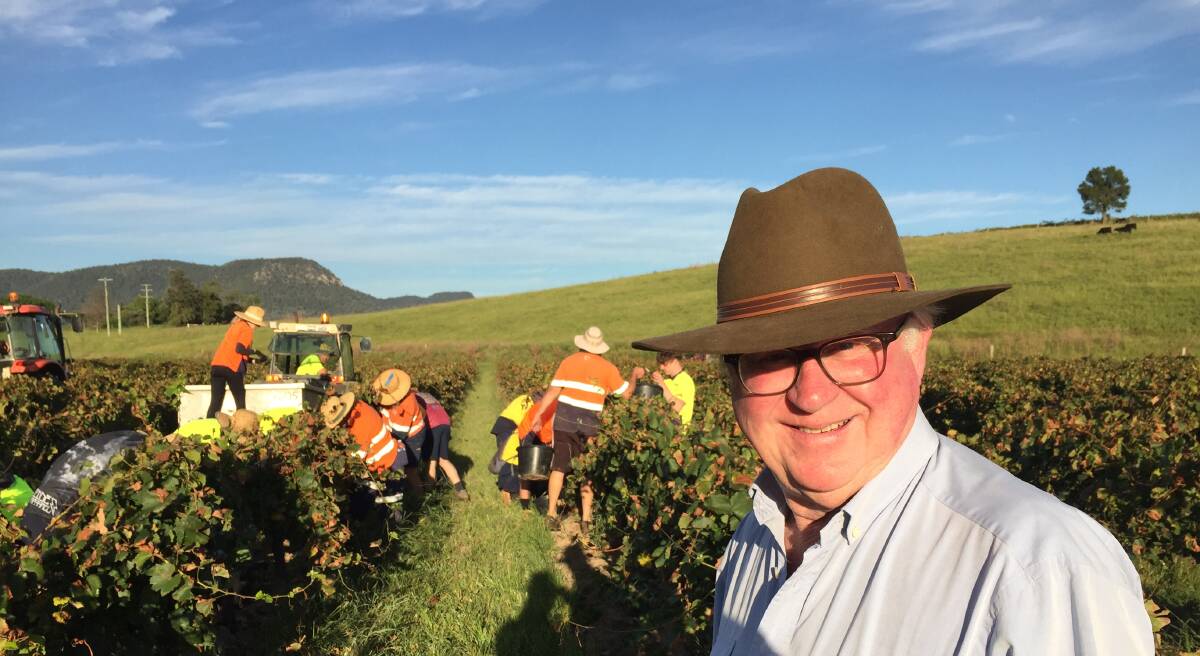 Fourth-generation winemaker Bruce Tyrrell has seen dozens of vintages take place at Pokolbin. Picture: Scott Bevan