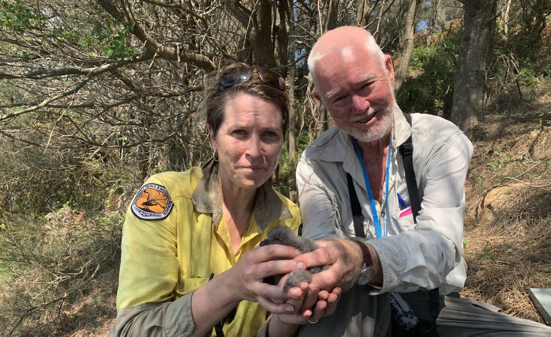 PROUD MOMENT: Susanne Callaghan and Alan Stuart hold the Gould's petrel chick. 